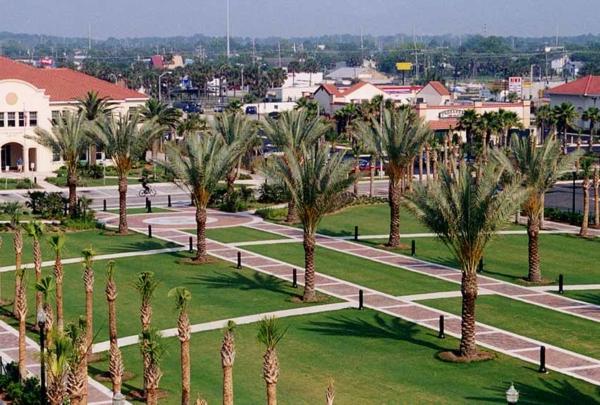 Palm trees line brick sidewalks that lead throughout the location.