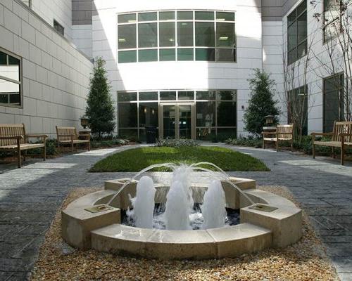 浸信会医疗中心南花园喷泉的外部照片